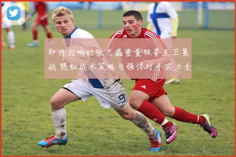 即将打响的张志磊重量级拳王卫冕战 隐秘战术策略与强悍对手实力全景剖析