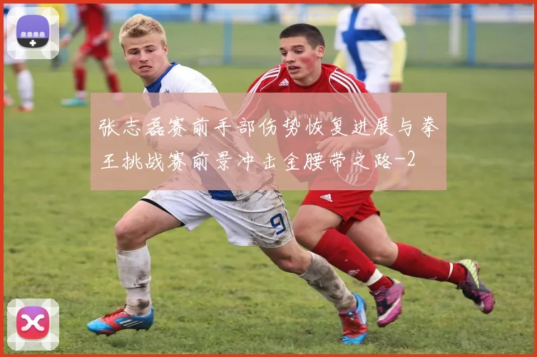 张志磊赛前手部伤势恢复进展与拳王挑战赛前景冲击金腰带之路
