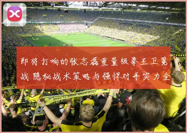 即将打响的张志磊重量级拳王卫冕战 隐秘战术策略与强悍对手实力全景剖析