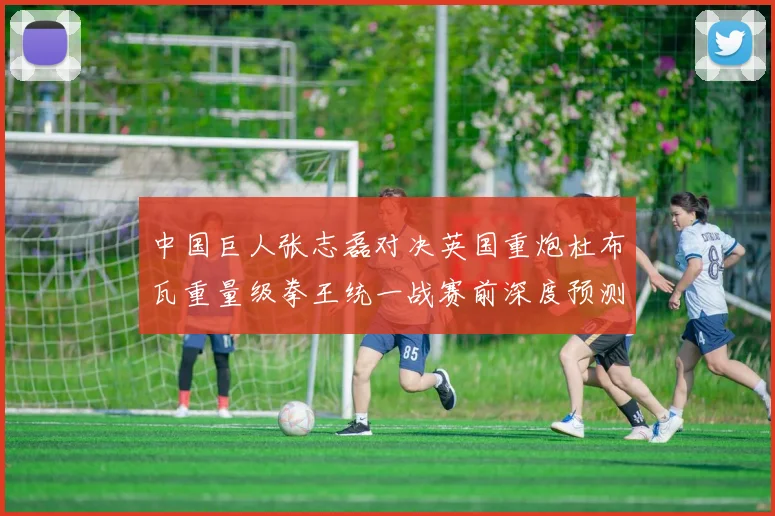 中国巨人张志磊对决英国重炮杜布瓦重量级拳王统一战赛前深度预测