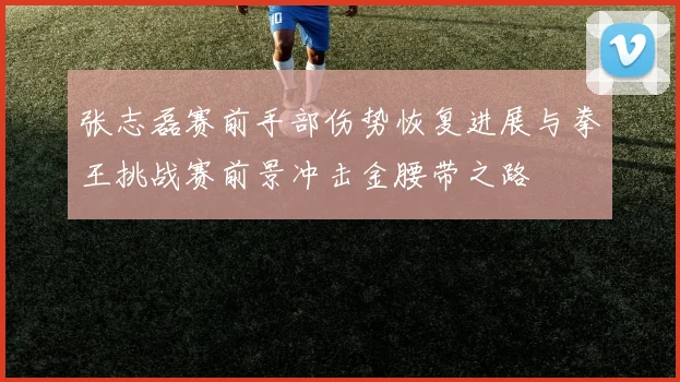 张志磊赛前手部伤势恢复进展与拳王挑战赛前景冲击金腰带之路