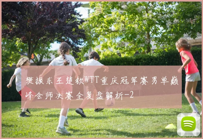 樊振东王楚钦WTT重庆冠军赛男单巅峰会师决赛全复盘解析
